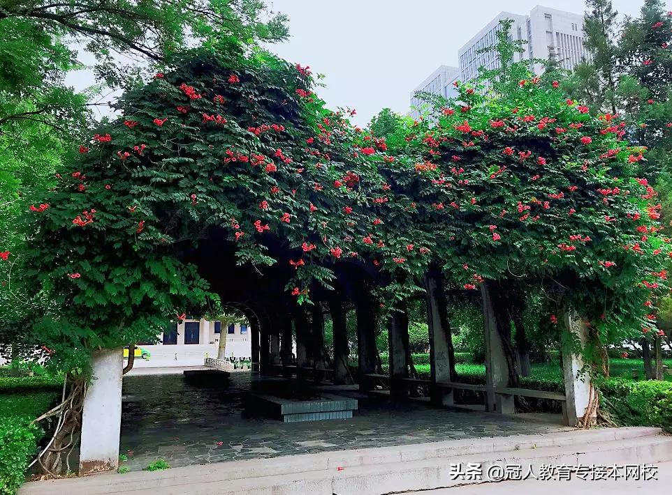 河北专接本招生院校,河北专接本铁道类院校