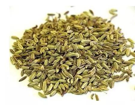 香料植物有哪几种,香料植物与成品解析