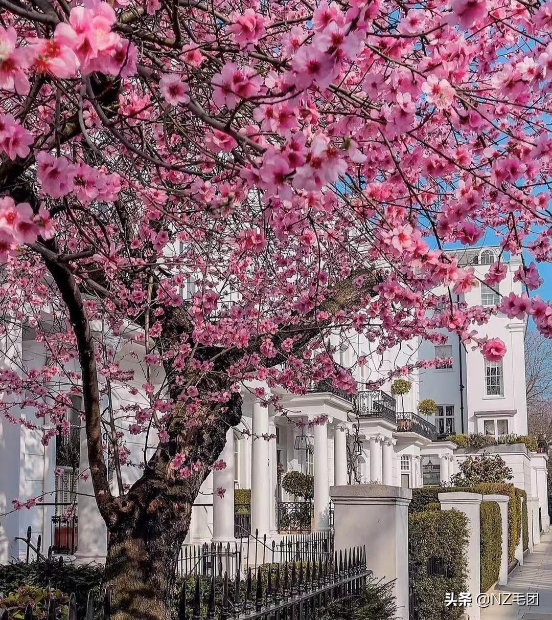 一个鸡蛋变成一座农场，小生意不知不觉也被你做大了