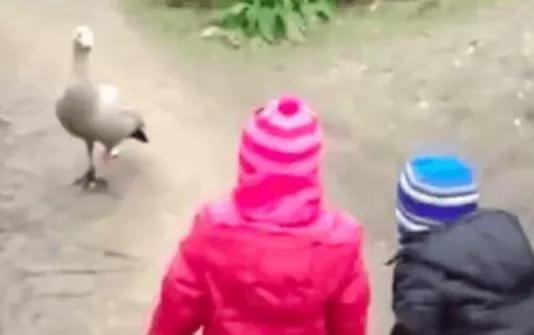 广州双枪失窃案：缝纫机厂和部队同时丢枪，警方如何顺藤摸瓜？