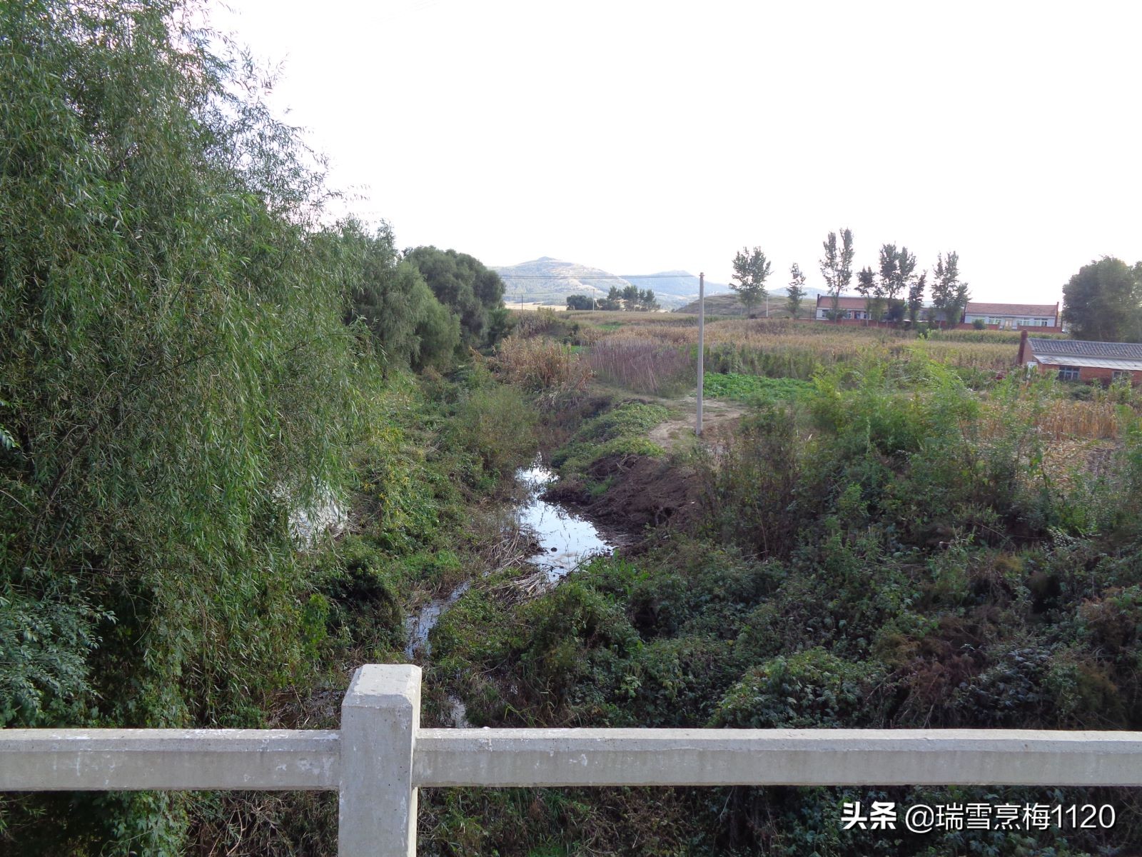 沈北新区依路村,沈北新区马刚乡地图