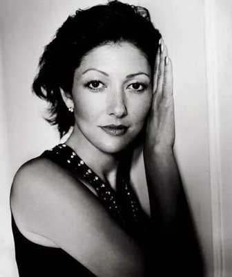 他是有中国血统的欧洲王子，父母离婚后，他只能在中国以走秀为生