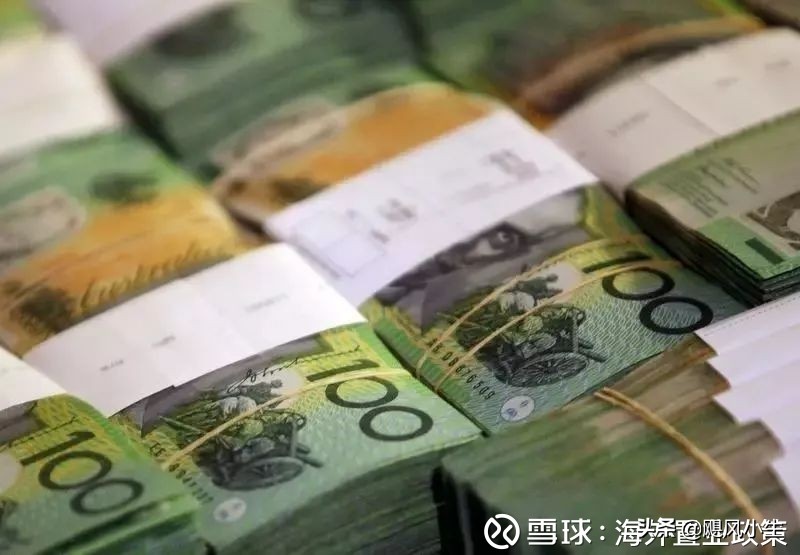 大妈乱带东西去澳洲被海关罚款,中国女游客入境被扣18天