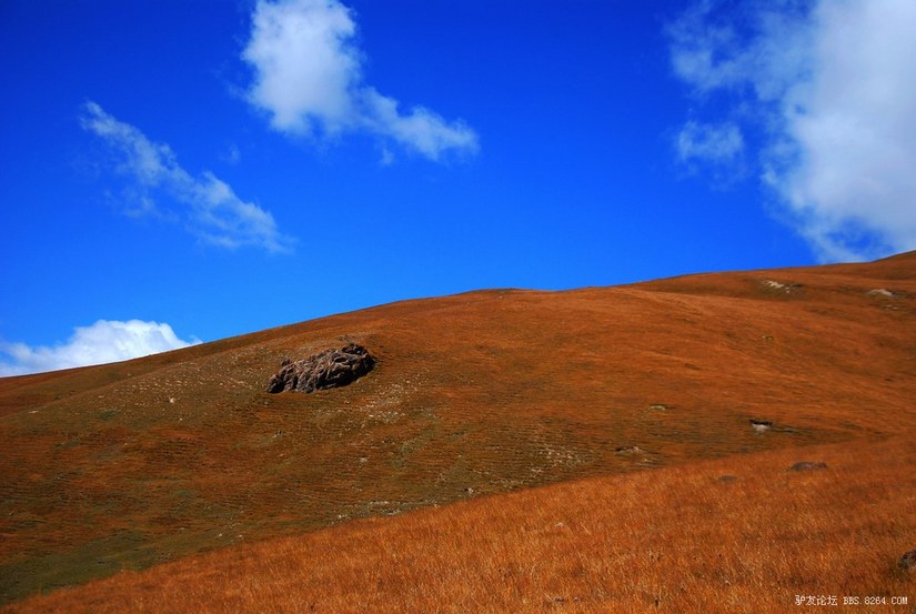 狼c调简谱教唱,狼c