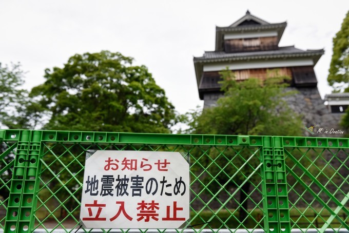 海洋光谱号到日本玩什么,海洋光谱号一日游攻略