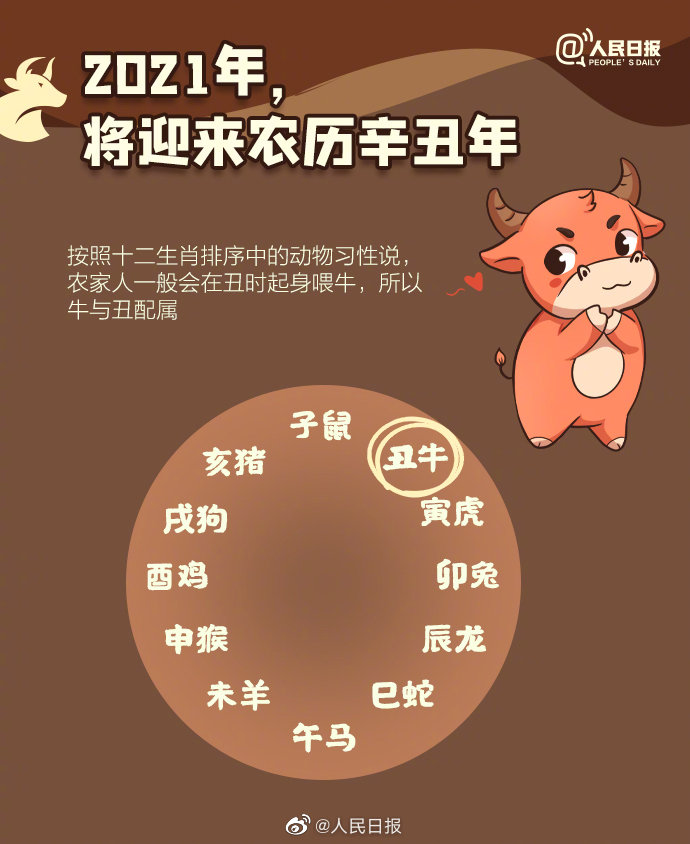 牛年知识大全图解,牛年有几个小知识