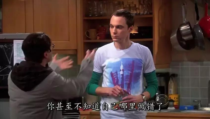 《生活大爆炸》大结局：我28岁，追了它整整9年，你呢？