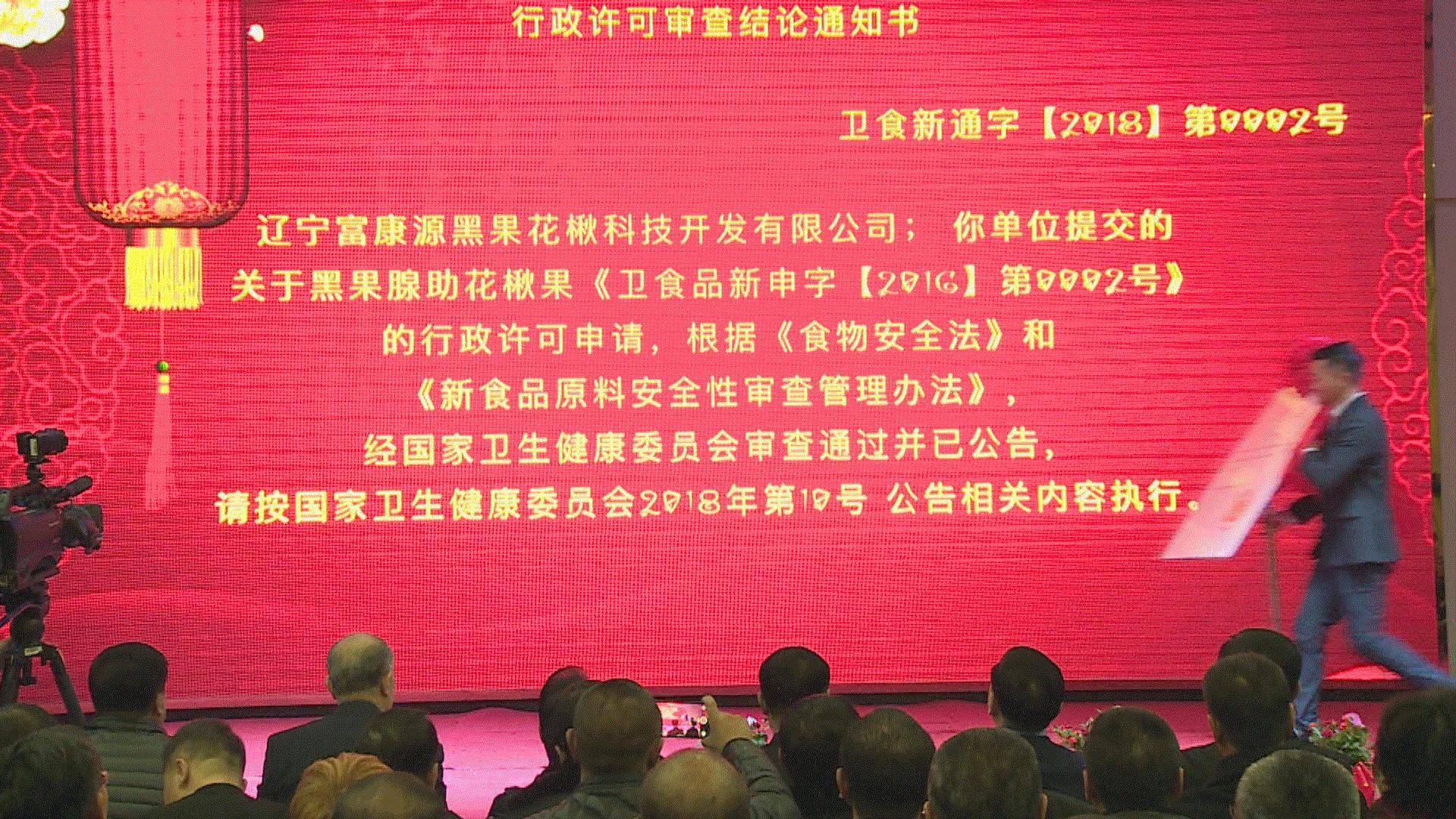 黑果花楸和蓝莓,黑果花楸和蓝莓有什么区别