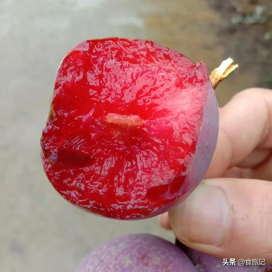 正宗的三华李水果,摘三华李酸甜脆口特解馋