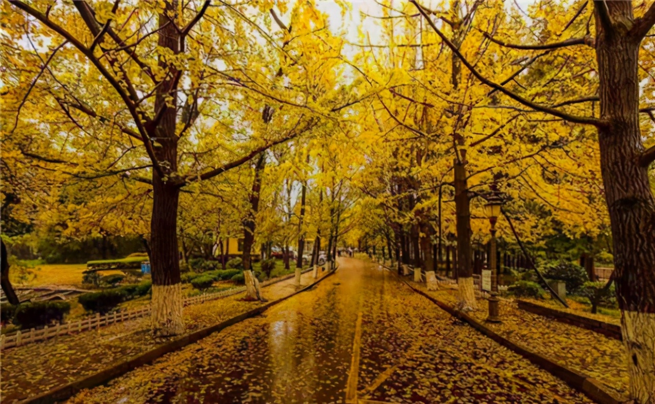 青岛旅游十大必去景点青岛栈桥,青岛站附近的旅游景点有哪些