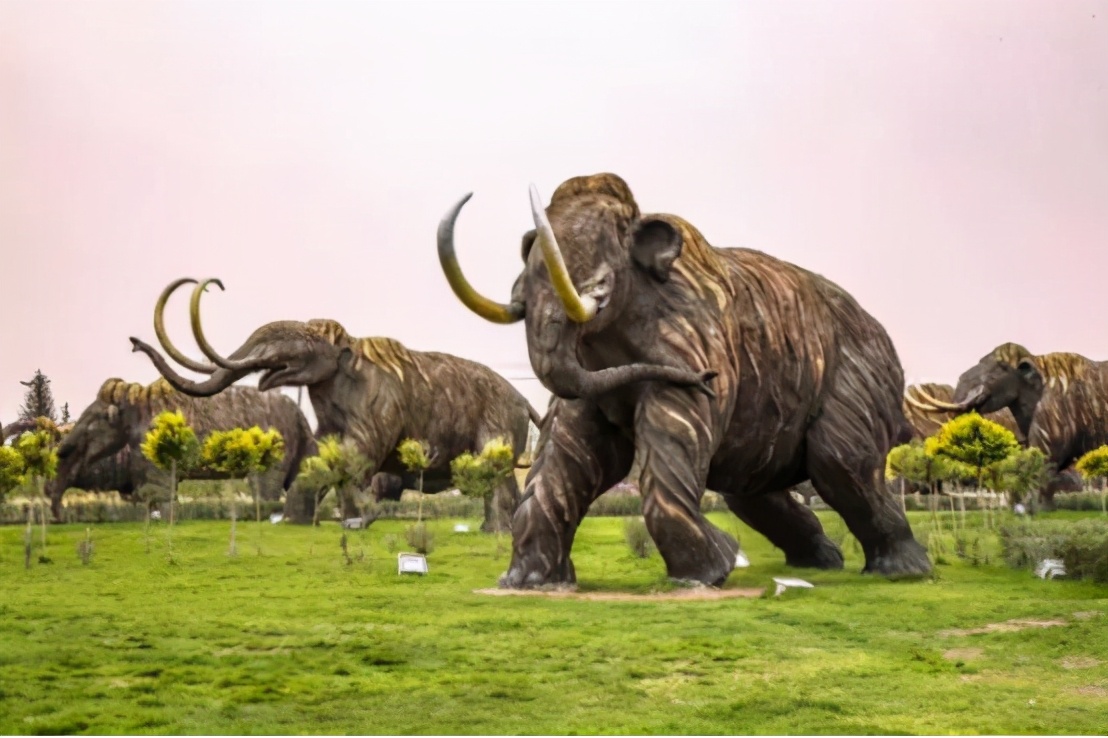 中俄蒙哈四国交界城市,领略中俄蒙三国的边境城堡