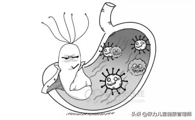 养好胃做3件事远离胃病,被忽视后如何自我消化