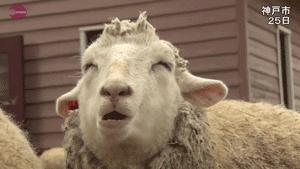 打哈欠打嗝怎么控制,打嗝放屁打呼噜是什么病