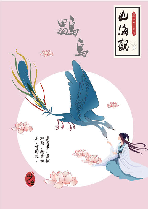 三种鸟不同种类及形态,三种鸟