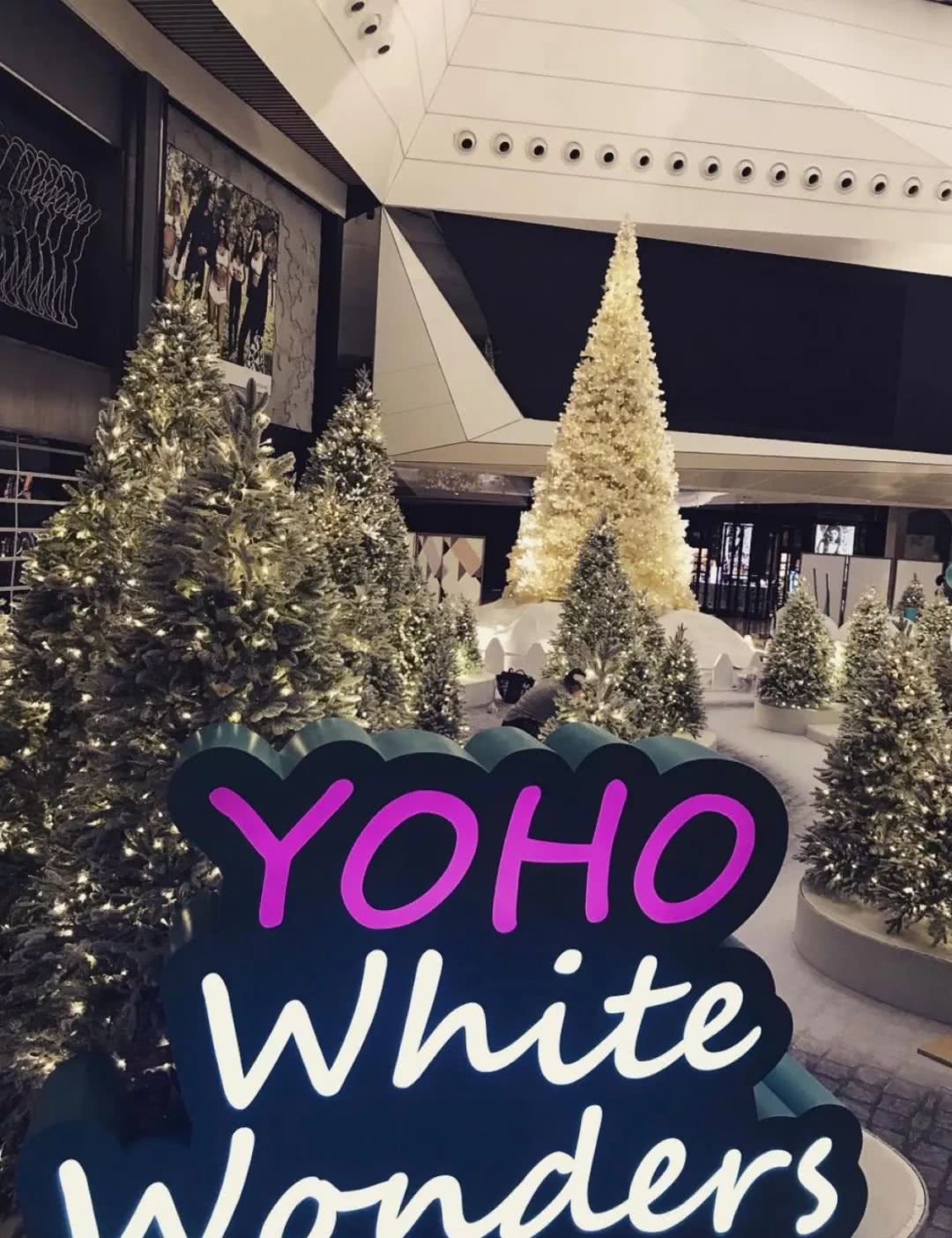 香港巨型圣诞树,香港圣诞树旅游攻略