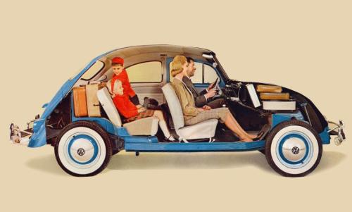 什么是甲壳虫房子,什么是甲壳虫