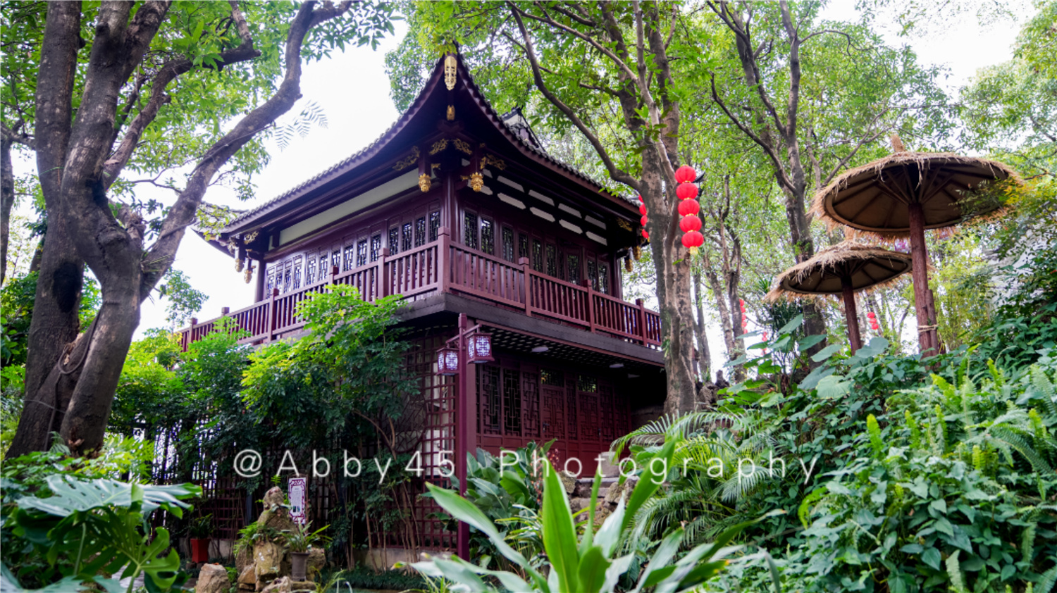 国内十大兰圃之一在福州,莫负好*光春**,免费尽享兰花的春之盛宴