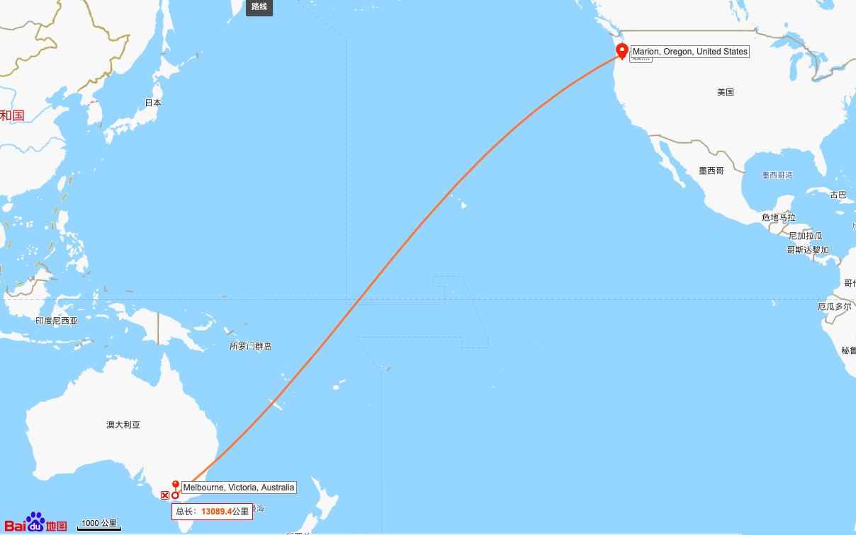 太毒了！小白鸽子从美国飞了13000公里，刚到澳洲就被捕杀