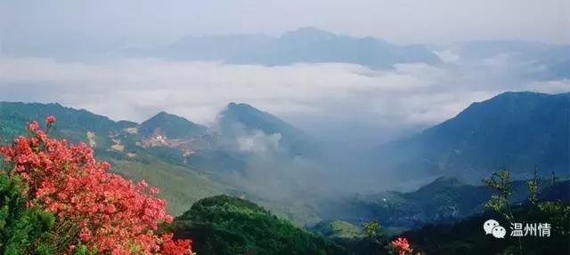 温州168海岸线沿途景点地图,温州60个免费景点大全