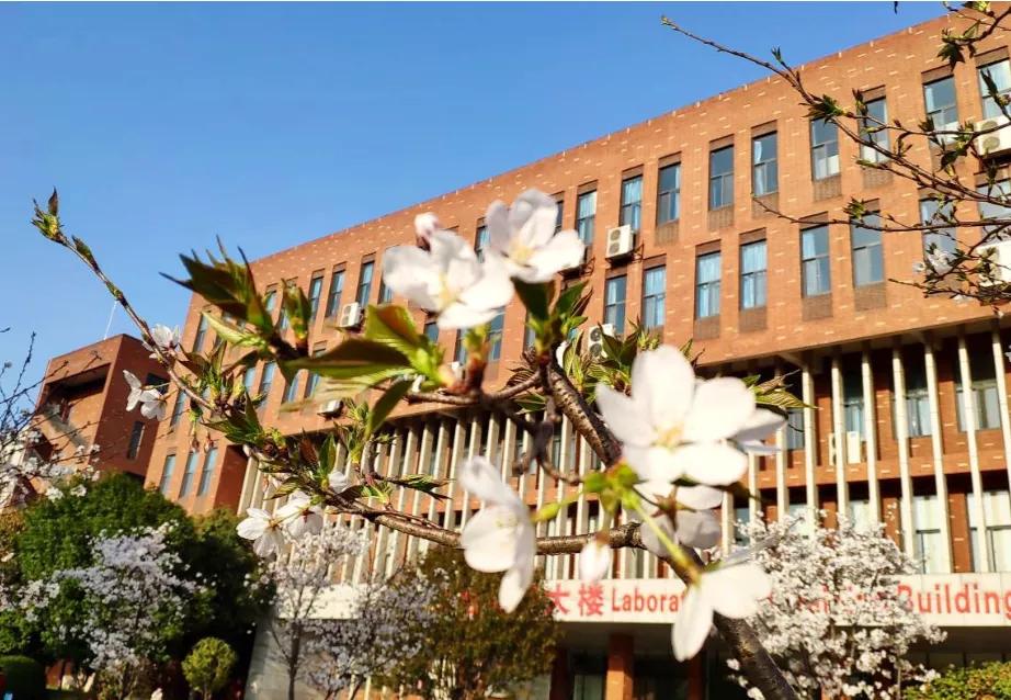 武汉外语外事职业学院出国,在武汉外语外事职业学院上学