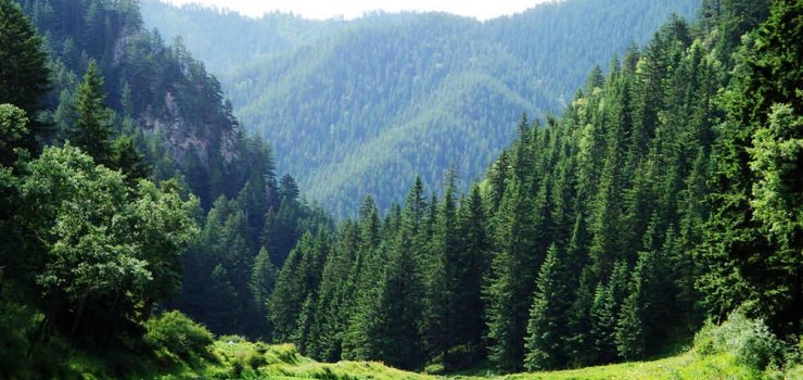 清凉夏日在兰州,清凉一夏兰州应该这样浪漫