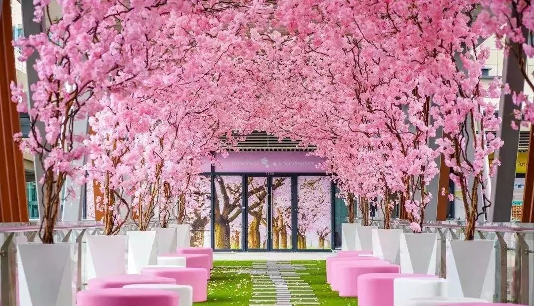 龙泉4大冷门赏桃线路出炉，向东60里遇见一座城市桃花源！