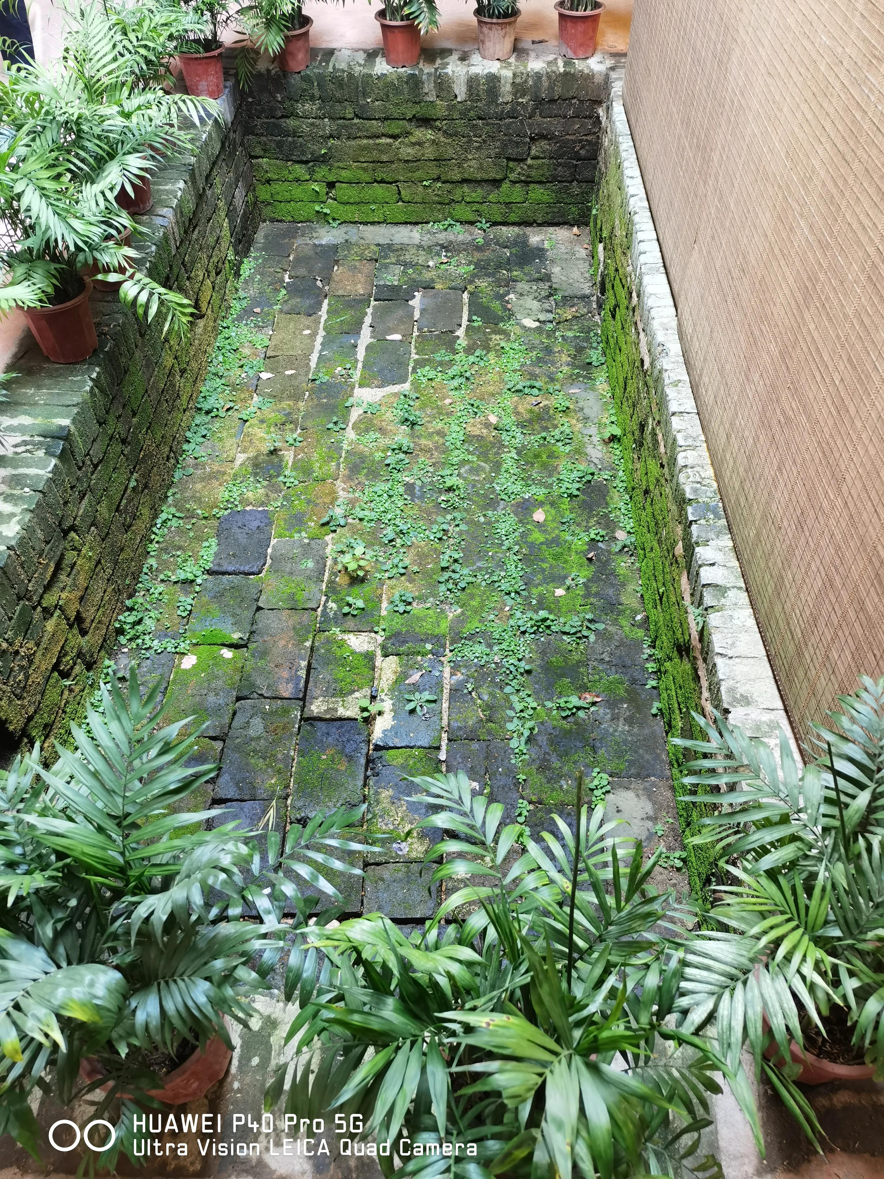 东游记第七回,韶山一日游日记