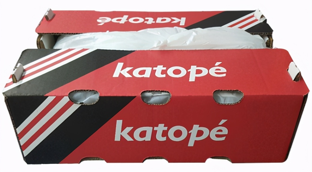 进口提子哪些品种 (进口提子品种及图解)