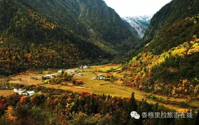 丽江去香格里拉路途中有什么景点,丽江到香格里拉走214国道打卡景点