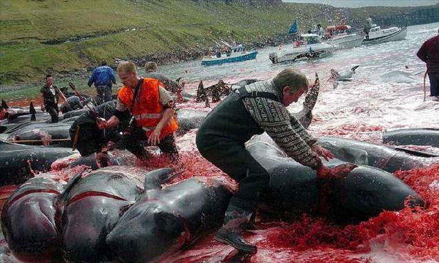 当机器觉醒后,它们配拥有“*权人**”吗