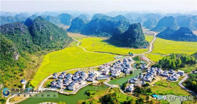 鍖洪暱涓哄啘浜у搧鐩存挱甯﹁揣,棰嗗骞查儴涓哄啘浜у搧鐩存挱甯﹁揣