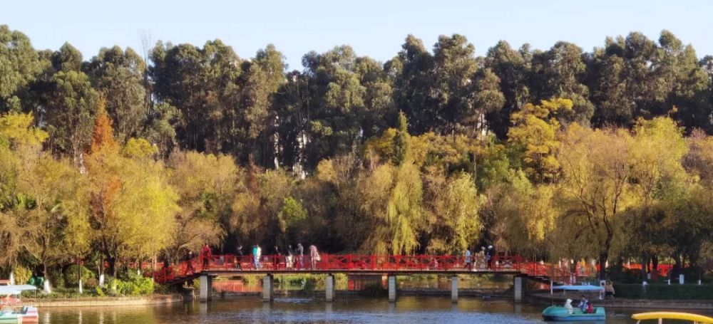 观光旅游攻略图文解析大全,深度旅游攻略教程