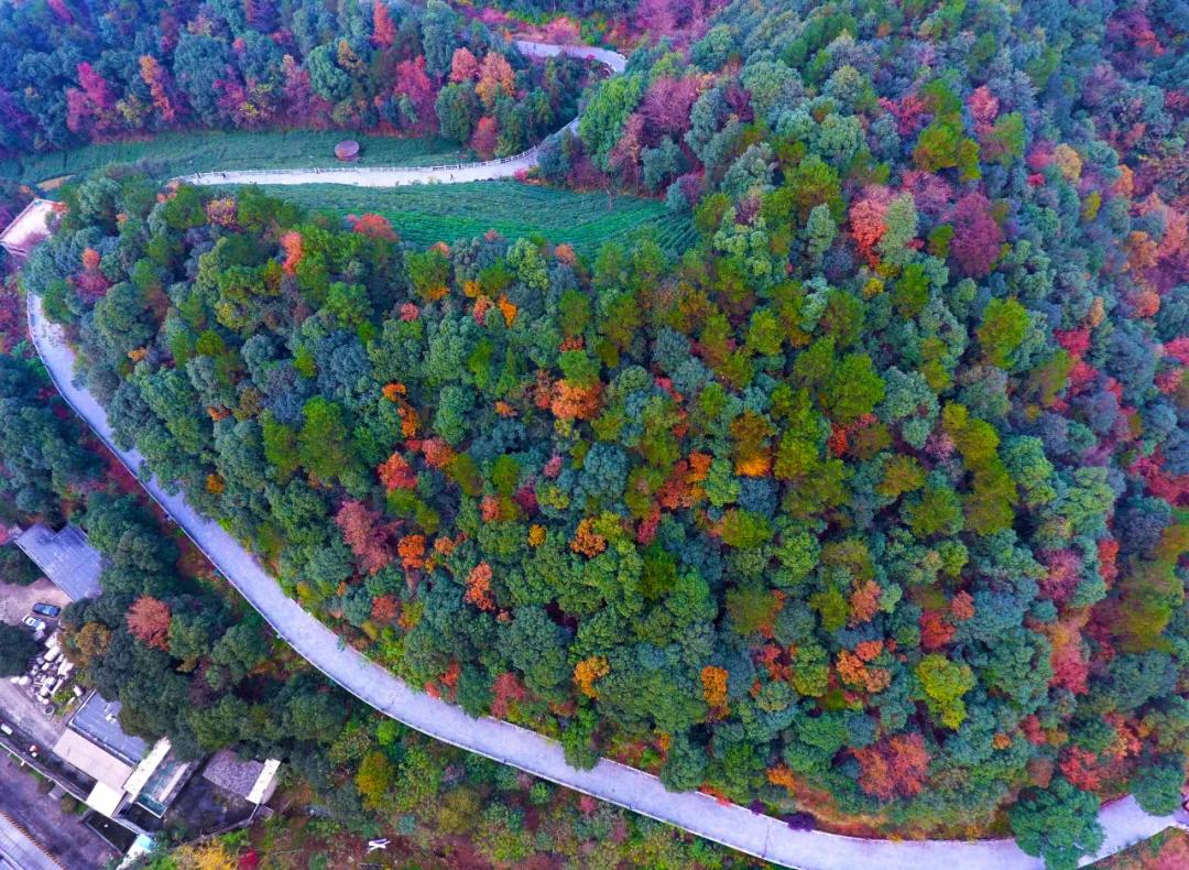 杭州适合拍照风景区,杭州最值得打卡的风景区