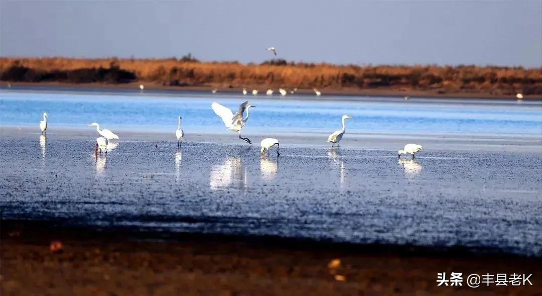 外地人眼中的城市vs真实的城市,外地人眼中的江苏vs实际上的江苏