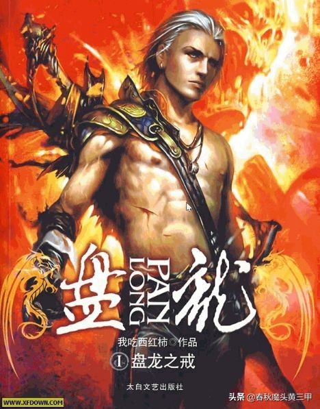 网文主角都姓叶,网文主角叫林凡