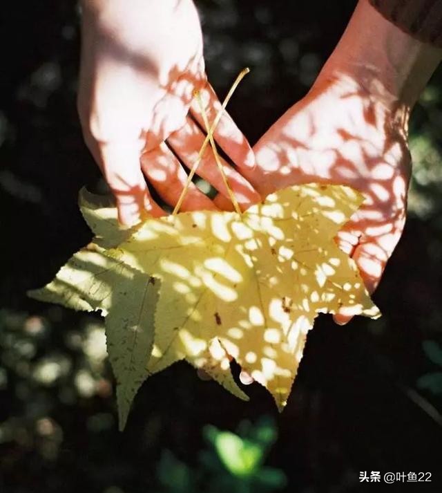 摄影阳光教程,摄影技巧阳光灿烂的日子