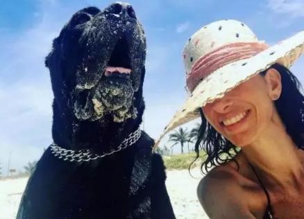 卡斯罗护卫犬有什么用,卡斯罗是三大护卫犬吗