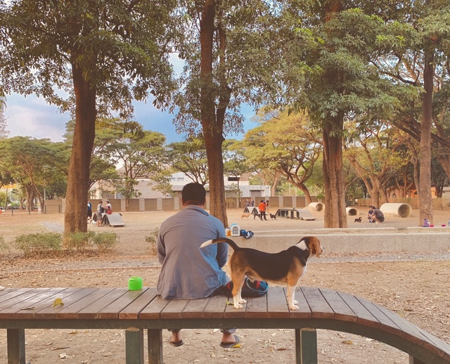 骑行台北到高雄多少公里,台北骑行到高雄