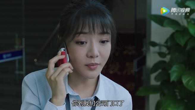 猎狐1至44集解读,猎狐2020电视剧免费观看