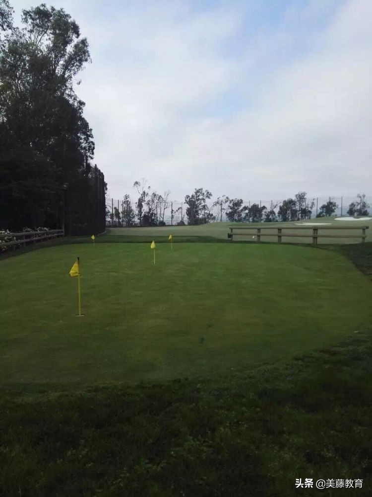 考上多伦多大学有多难,考上普林斯顿大学有多难