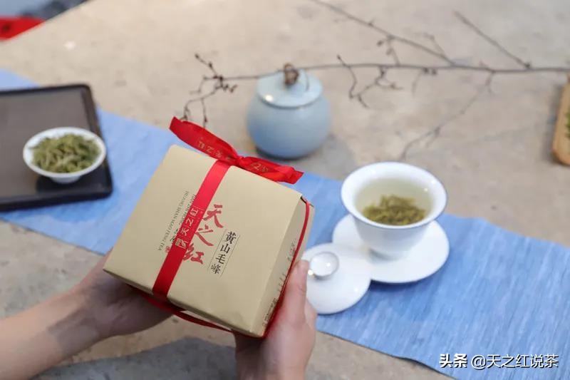 喝春茶的人生感悟,喝春茶的意境诗句