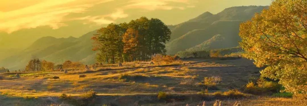 巴中有多大面积和人口,巴中和汉中差距有多大