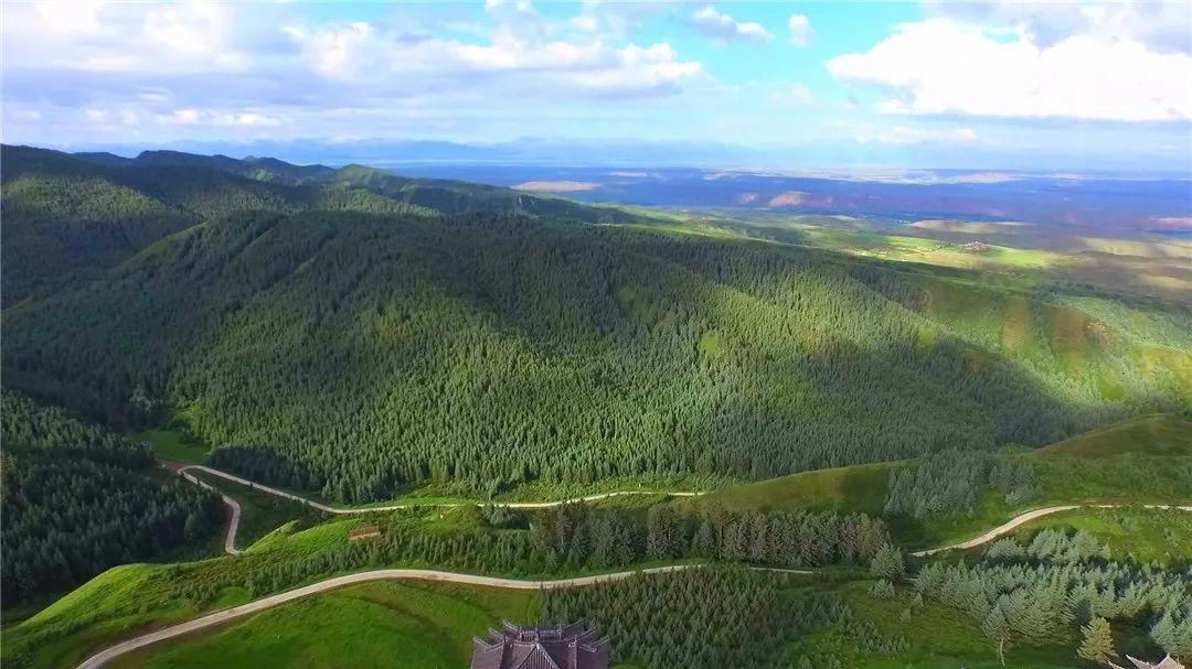 春暖花开等你来赏花,春暖花开等你来赏花原唱视频