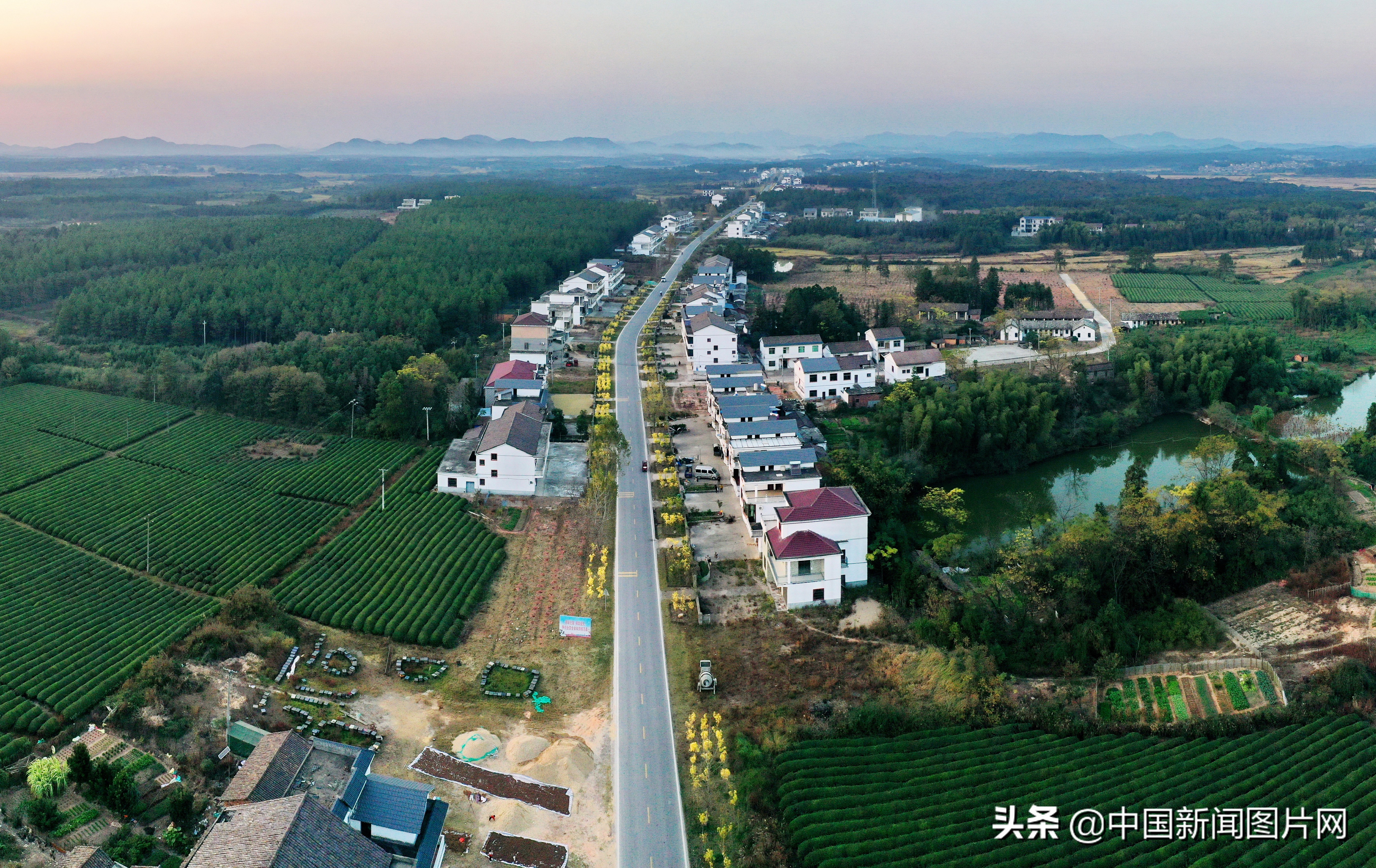 江西抚州幸福家园,江西金溪生态乡村美如画组图