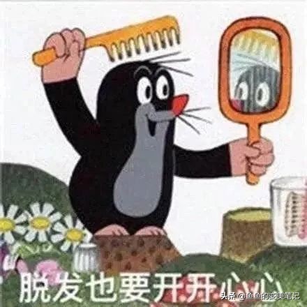 去屑洗发水测评资生堂海飞丝,欧莱雅和资生堂洗发水哪个好