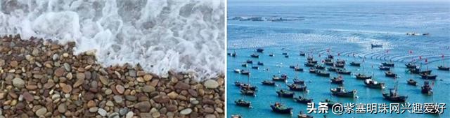 换一个角度享受生活乐趣,日照吴家台渔家乐推荐