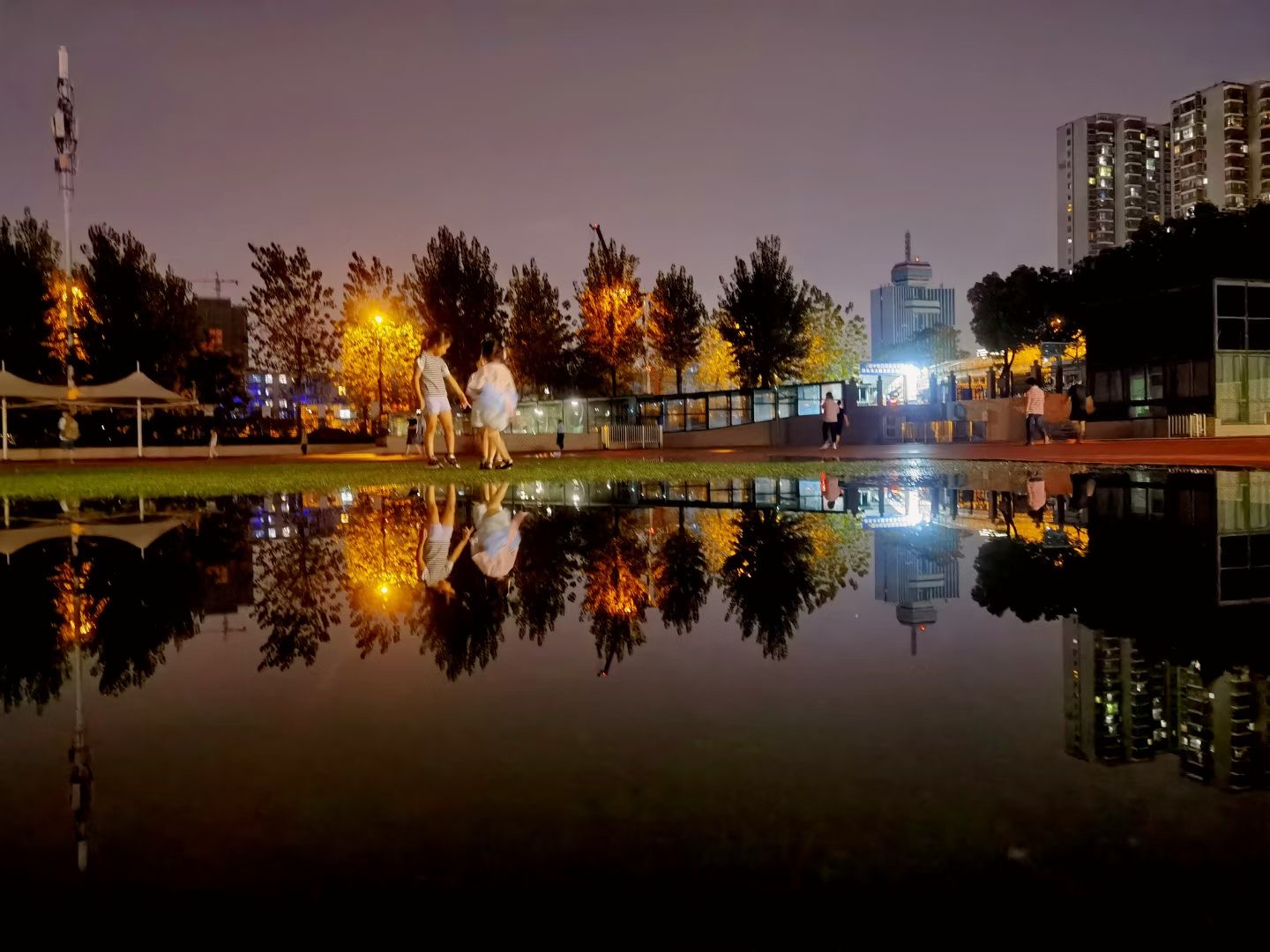 去感受秋天的魅力,在冬日暖阳中感受秋的气息