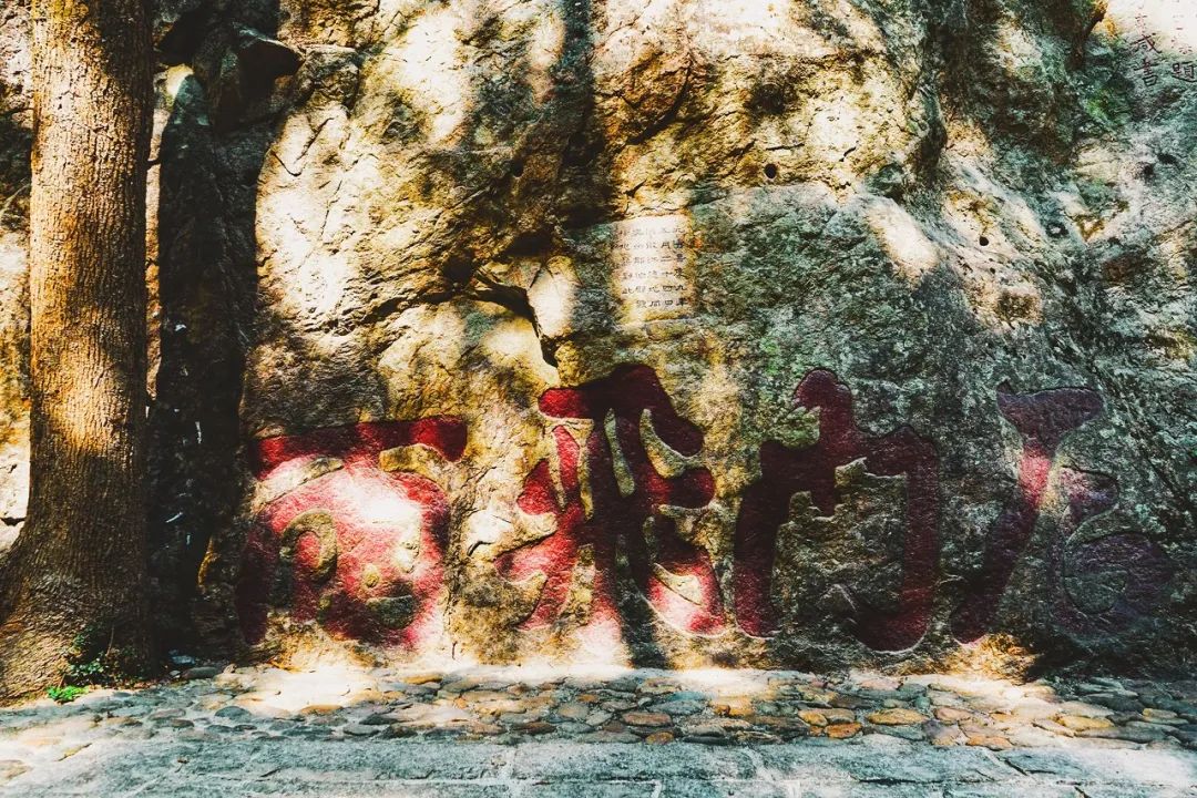 世界上最惊艳的咖啡,被称为小欧洲