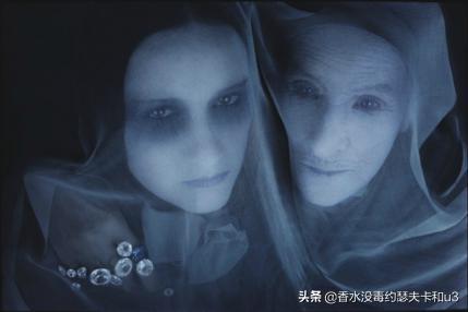 芦丹氏荔枝玫瑰,芦丹氏暗夜玫瑰