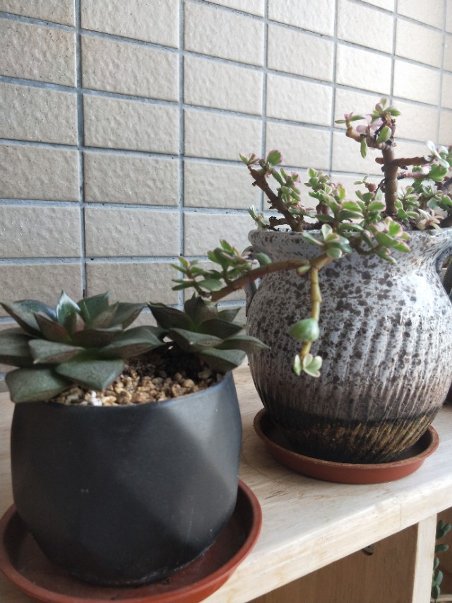 如何零成本怎么创业